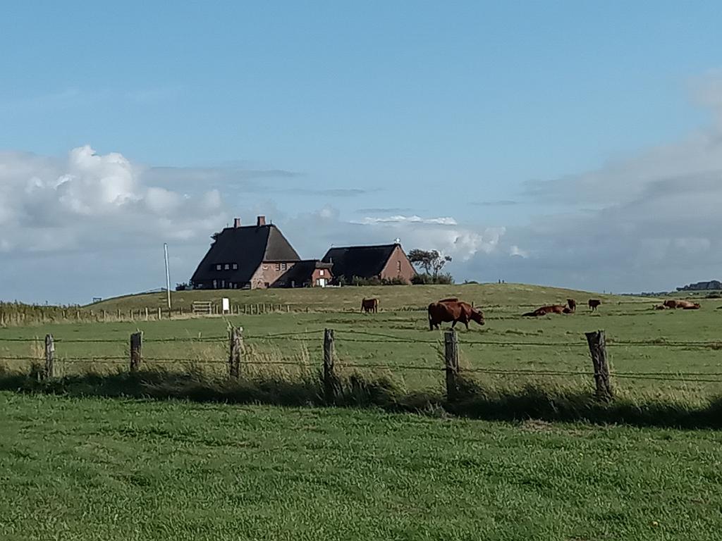 SchleswigKappeln (254)